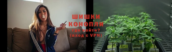 ПСИЛОЦИБИНОВЫЕ ГРИБЫ Алексеевка