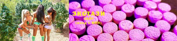 ПСИЛОЦИБИНОВЫЕ ГРИБЫ Алексеевка